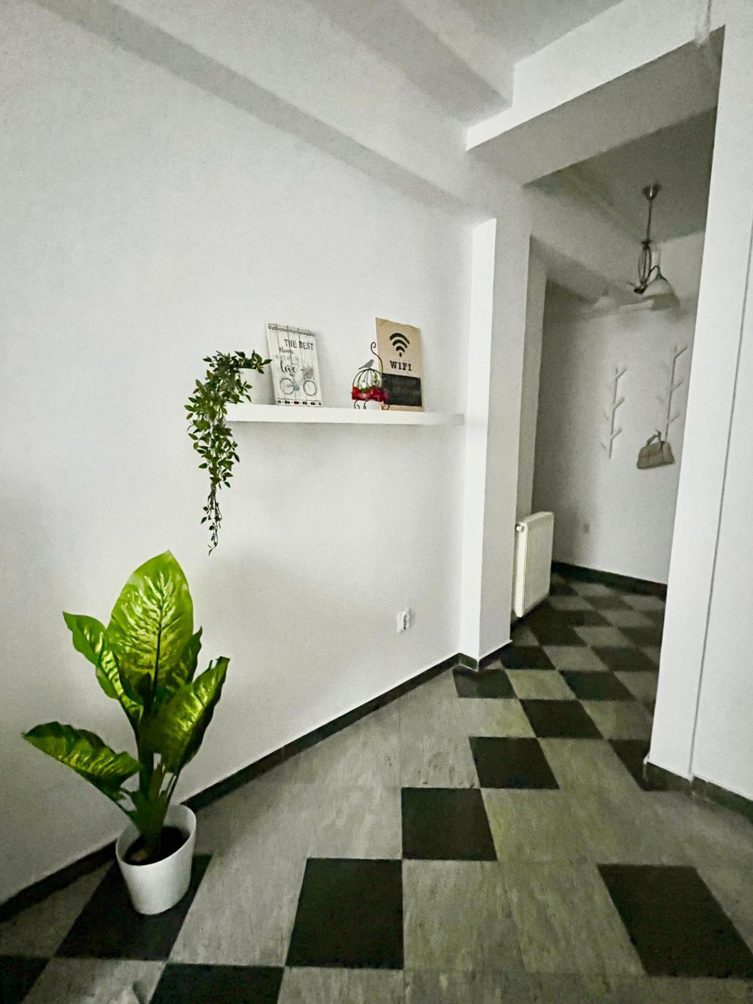 Victoriei Spacious Studio Bucarest Esterno foto