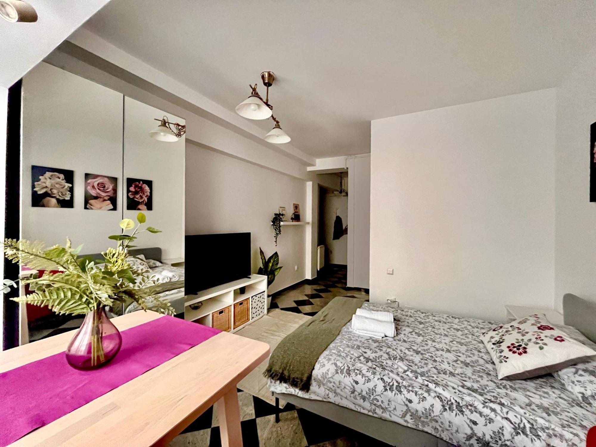 Victoriei Spacious Studio Bucarest Esterno foto